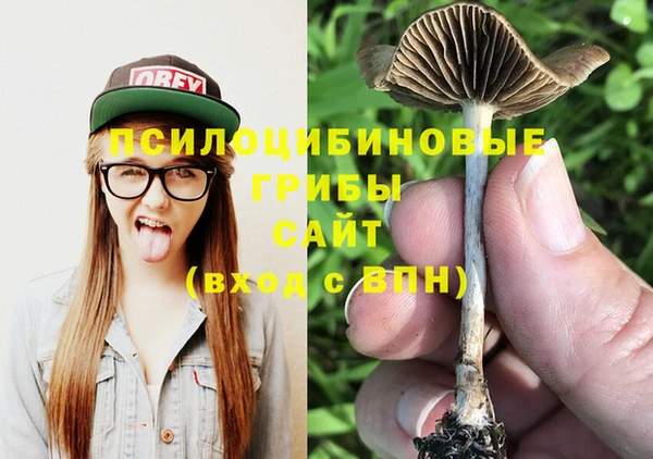 гидропоника Кулебаки