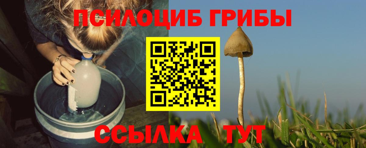 Псилоцибиновые грибы GOLDEN TEACHER Протвино